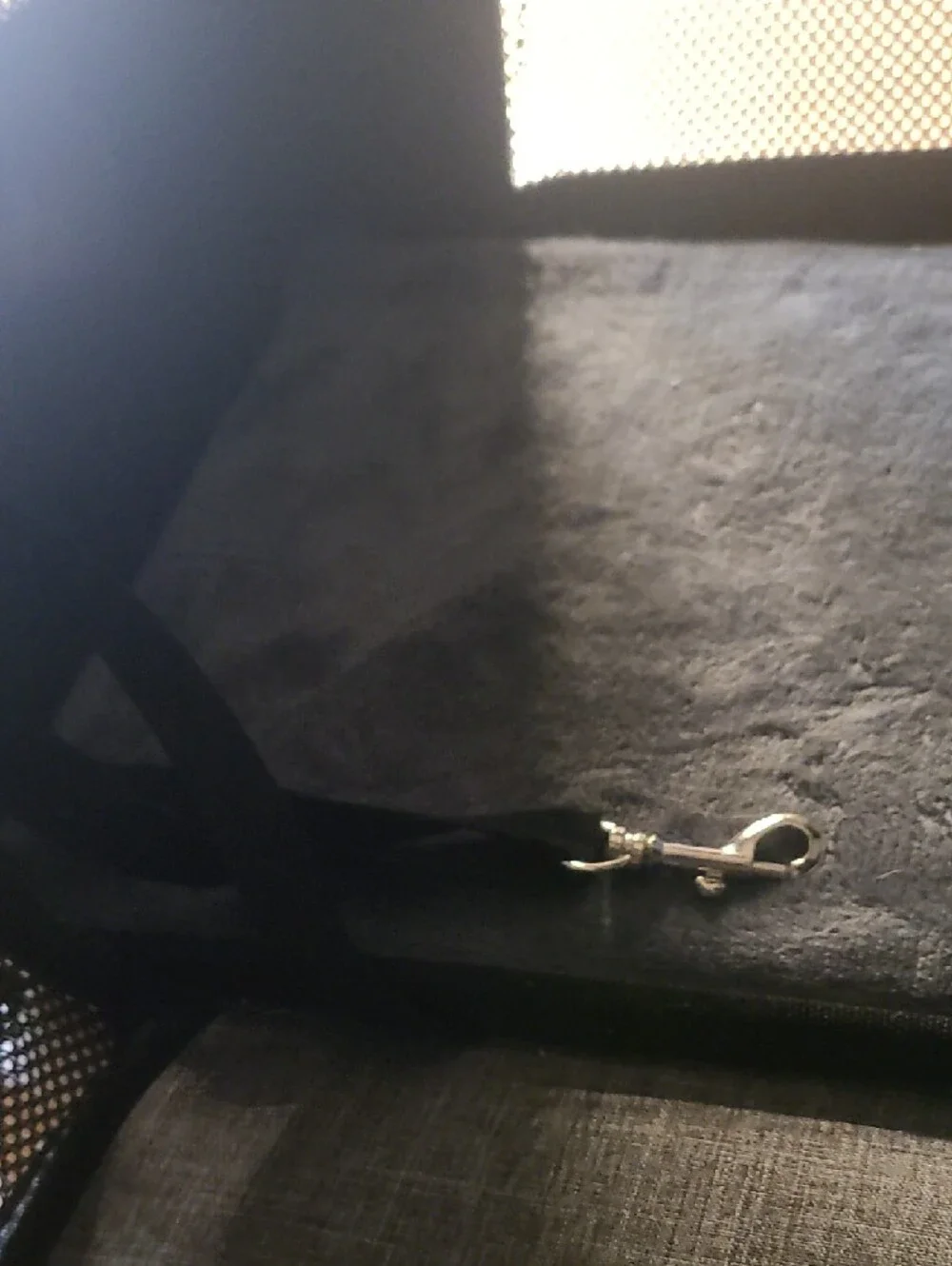 Extendable Pet Carrier/Backpack - Picture 4 of 5